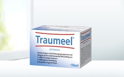 Traumeel tabletten
